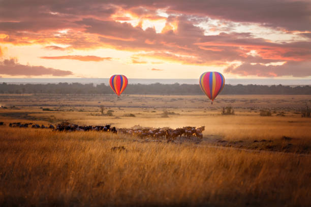 Balloon Safari