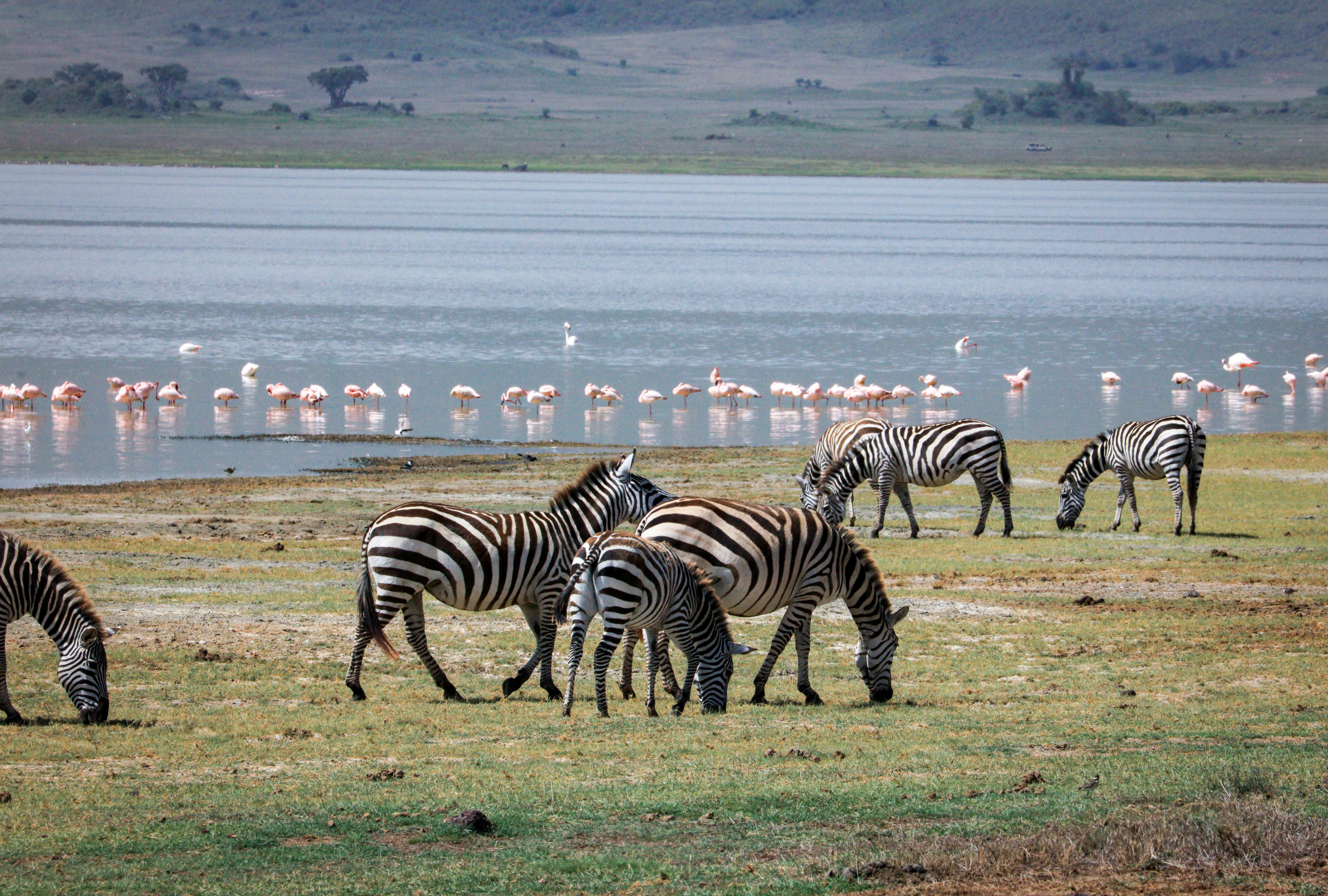 4-DAY NAKURU - MARA LUXURY GETAWAY